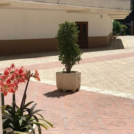 Provima Benidorm