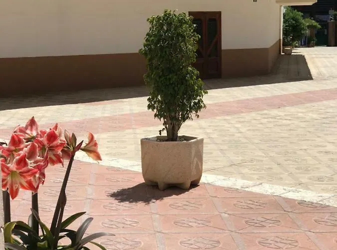 Provima Benidorm